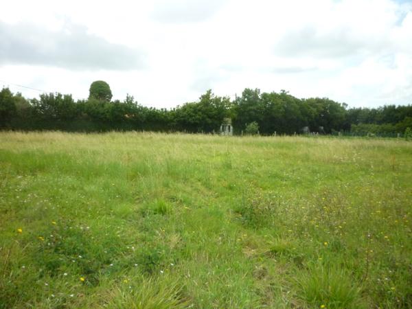 Terrain à bâtir Saint Georges d Oleron 1218 m²