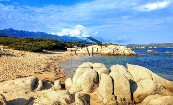 Pianottoli-Caldarello (20131) T3C avec terrasse Résidence de standing en bord de mer – Investissement attractif en Corse