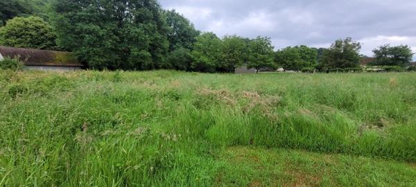 Terrain à vendre |  Altillac |  2457 m²