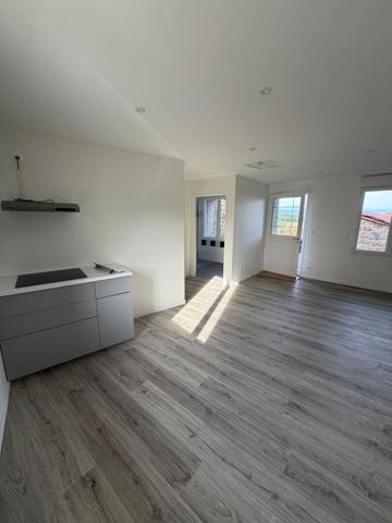 APPARTEMENT REFAIT A NEUF + GARAGE + TERRASSE