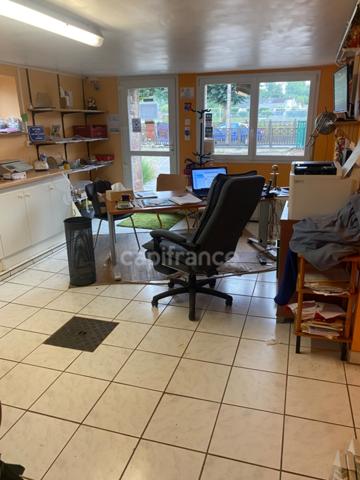 Alliez art de Vivre et Projet professionnel