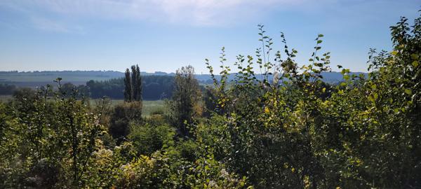 Immobilier Les Roches-l’Évêque (41800) – Maison 42m2 – 59 000 €