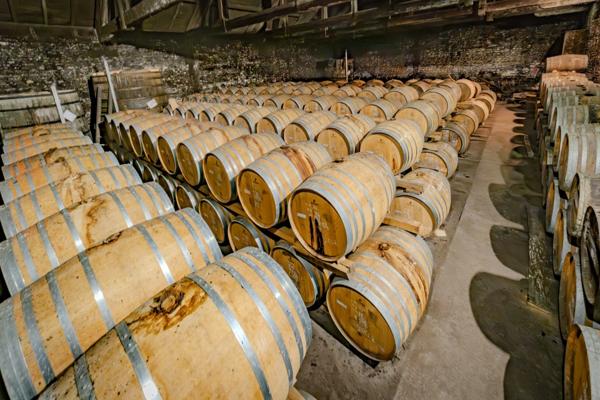Propriété à vendre 18 pièces proche de COGNAC - Terrain de 3,2 Ha