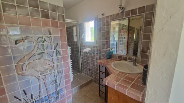 Lorgues (83510) Villa 6 pièces 4 chambres, avec piscine et garage, dans un environnement bucolique à quelques kilomètres de Lo