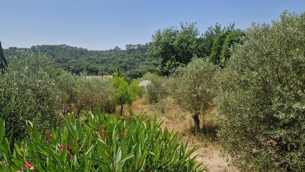 Lorgues (83510) Villa 6 pièces 4 chambres, avec piscine et garage, dans un environnement bucolique à quelques kilomètres de Lo