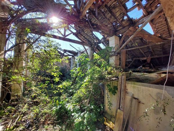 Maison à restaurer à vendre à Mareuil en Périgord en Dordogne (24340), ref : 18113/144