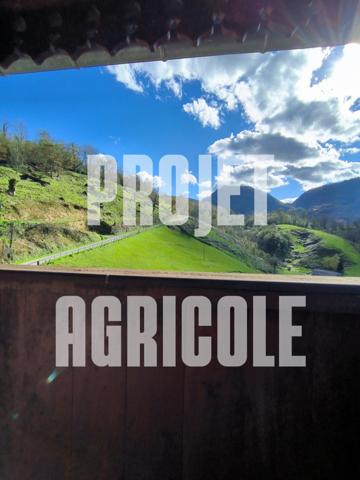 À vendre - Ferme, 5 pièces située à Arette (64570)
