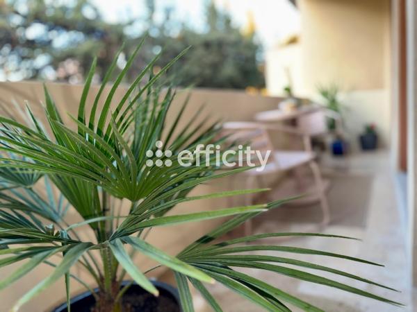 Appartement 3 pièces - 70 m² Exclusivité efficity