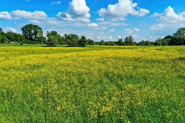 Terrain à vendre 855 m²