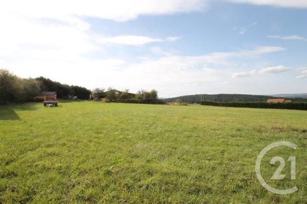 terrain à vendre 1393 m2 ST QUINTIN SUR SIOULE - 63