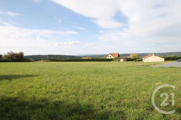 terrain à vendre 1393 m2 ST QUINTIN SUR SIOULE - 63