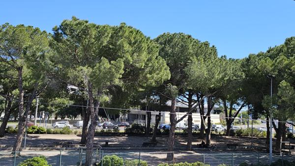 Montpellier (34000) Montpellier Près d'arènes - Appartement T3 Meublé dans maison 61 m² avec jardin partagé