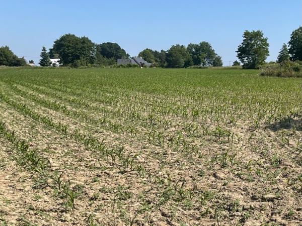 Terrain Sixt Sur Aff 9678 m2