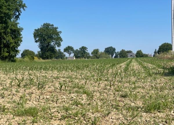 Terrain Sixt Sur Aff 9678 m2