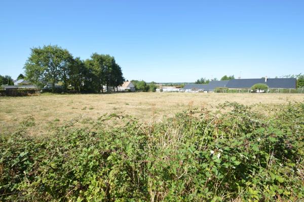 Vente                                                      Terrain
                        
                                         1924 m2                     à Parigné-l'Évêque