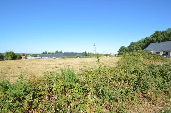 Vente                                                      Terrain
                        
                                         1924 m2                     à Parigné-l'Évêque