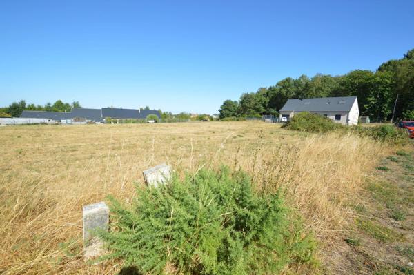 Vente                                                      Terrain
                        
                                         1924 m2                     à Parigné-l'Évêque