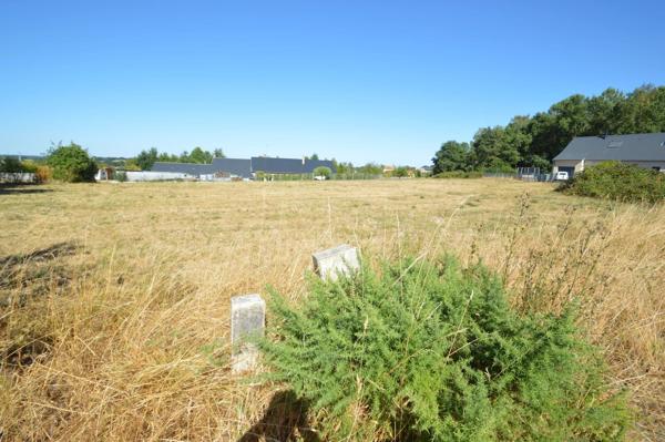 Vente                                                      Terrain
                        
                                         1924 m2                     à Parigné-l'Évêque