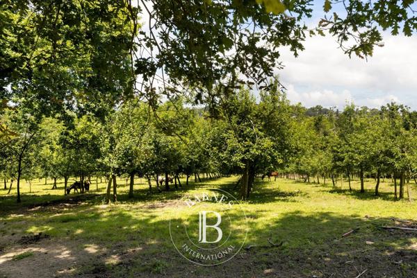 Urrugne, Maison  750 m² à vendre