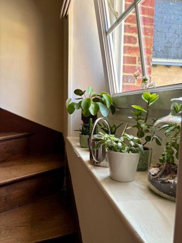 Maison de ville à Laval