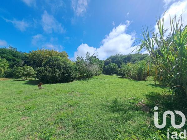 Terrain à vendre 1 020 m² Saint-François