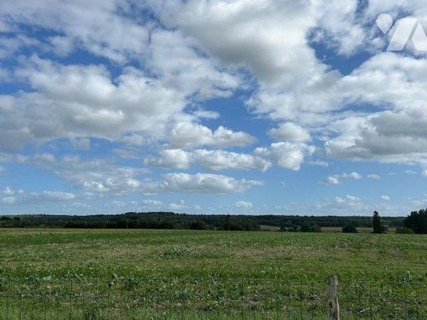 MAISON A VENDRE BAUGE EN ANJOU
5 Minutes BAUGE
Spacieuse et confortable maison de plain-pied ...