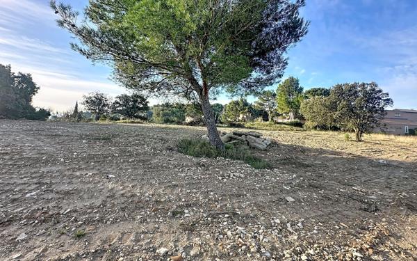 Terrain à vendre    Villeneuve-lès-Avignon