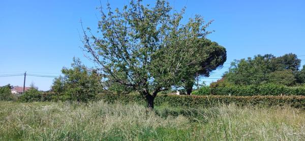 Terrain à batir de 740m² à LAVERNOSE LACASSE