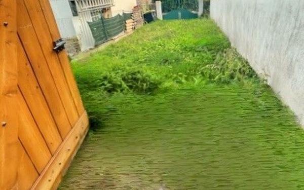 Maison à louer    5 pièces •  Caudecoste