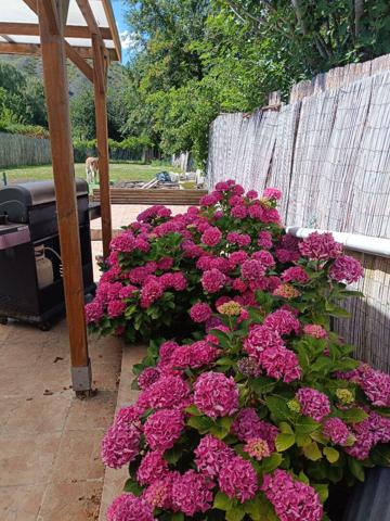 Maison Mericourt 10 pièce(s) 261 m2