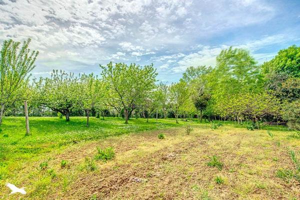 Maison à vendre |  Baron |  4 pièces | 205 m²