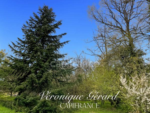 IDEAL INVESTISSEMENT MAISON EN PIERRE SUR environ 1700 M2 DE TERRAIN UB