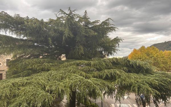 Appartement à louer    3 pièces •  Les Vans