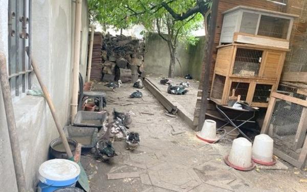 Immeuble à vendre    2 pièces •  Drancy