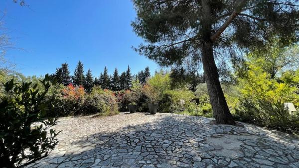 Maison lumineuse avec jardin arboré – Sauveterre