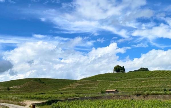 Vente Terrain Constructible Larnage   