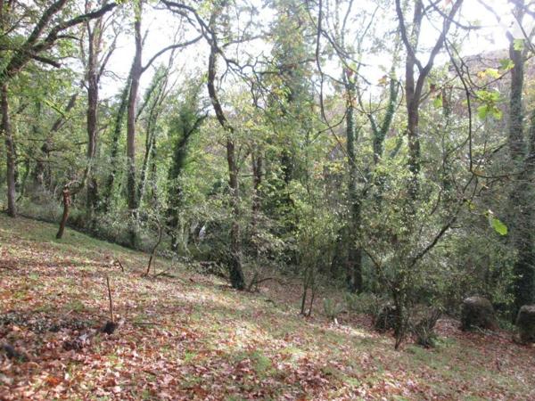 Maison - Les 4 Vaux - St-Cast le Guildo