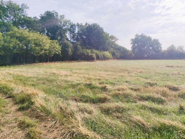 Achat - Terrain à bâtir | Terrain à bâtir Tercé 86800 1361 m 2