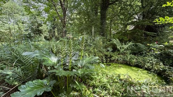 SEULEMENT CHEZ NESTENN ? Authentique maison en pierre avec dépendance et vaste parcelle boisée