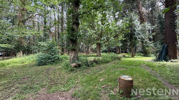 SEULEMENT CHEZ NESTENN ? Authentique maison en pierre avec dépendance et vaste parcelle boisée