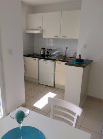 L'Isle-sur-la-Sorgue (84800) APPT TYPE T2 - RES SECURISEE - EXPO SUD - 2 PLACES DE STATIONNEMENT - PISCINE