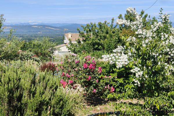Située sur les hauteurs de Bourg-Saint-Andéol, dans un environnement calme bénéficiant d’une vue dégagée, cette villa d’environ 132 m² habitables offre un cadre de vie agréable et fonctionnel.

Elle se compose d’un séjour lumineux avec cheminée, ouvert sur la terrasse, d’une cuisine indépendante équipée avec possibilité d’ouverture sur la pièce de vie, ainsi que de 4 chambres, et 2 salles d'eau. 

À l’extérieur, vous profiterez d’un terrain arboré et fleuri d'environ 2300m², de plusieurs terrasses pour profiter de chaque exposition, d’un espace piscine aménagé avec pool house et cuisine d'été ainsi que de deux garages attenants.

Côté équipements :
✔ Menuiseries PVC récentes (2023)
✔ Volets roulants électriques
✔ Cheminée à foyer fermé

Les atouts :
✨ Vue dégagée
✨ Environnement calme
✨ Piscine et terrain arboré et fleuri
✨ Plusieurs terrasses
✨ 4 chambres
✨ Deux garages attenants et nombreuses dépendances

Une maison idéale pour profiter d’un environnement paisible tout en restant proche des commodités.

Contactez-nous pour une visite : 
Emilie   - 06 29 32 69 64 
Sandra - 06 67 88 56 18