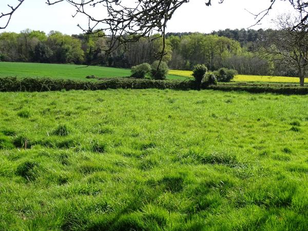 TERRAIN A BATIR  VUE DEGAGEE  RIEUX 56