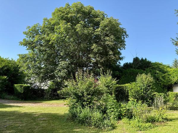Maison 4 chambres, magnifique jardin