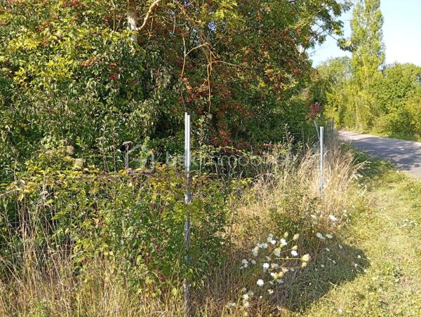 Terrain de loisirs de 799 m²