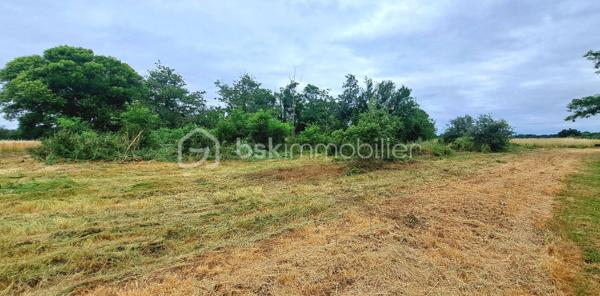 Belle opportunité pour la réalisation d’un projet de construction de maison individuelle.

Terrain d’environ 1 000 m²
Terrain borné (limites définies)
Étude de sol de type G1 réalisée
Emprise au sol maximale de 35 %
Compteur d’eau déjà présent

Raccordements à prévoir pour l’électricité, les télécommunications 
Prevoir l’assainissement autonome
Ce terrain offre de nombreuses possibilités d’implantation pour une maison familiale avec jardin, terrasse et espaces extérieurs, dans un cadre paisible.

Sa configuration et ses éléments techniques déjà réalisés (bornage et étude G1) permettent d’envisager un projet de construction plus serein et mieux maîtrisé.

À 10 minutes de l'autoroute A64, avec accès dans les deux sens : TOULOUSE/TARBES
A 5min de CARBONNE
Proche des commodités, commerces, écoles et services