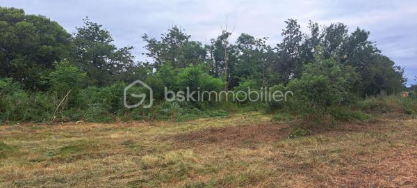 Belle opportunité pour la réalisation d’un projet de construction de maison individuelle.

Terrain d’environ 1 000 m²
Terrain borné (limites définies)
Étude de sol de type G1 réalisée
Emprise au sol maximale de 35 %
Compteur d’eau déjà présent

Raccordements à prévoir pour l’électricité, les télécommunications 
Prevoir l’assainissement autonome
Ce terrain offre de nombreuses possibilités d’implantation pour une maison familiale avec jardin, terrasse et espaces extérieurs, dans un cadre paisible.

Sa configuration et ses éléments techniques déjà réalisés (bornage et étude G1) permettent d’envisager un projet de construction plus serein et mieux maîtrisé.

À 10 minutes de l'autoroute A64, avec accès dans les deux sens : TOULOUSE/TARBES
A 5min de CARBONNE
Proche des commodités, commerces, écoles et services