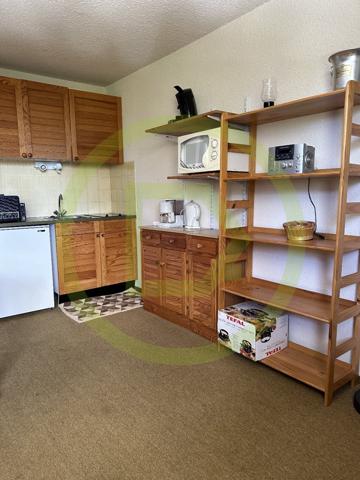 Appartement à SELONNET (04140)