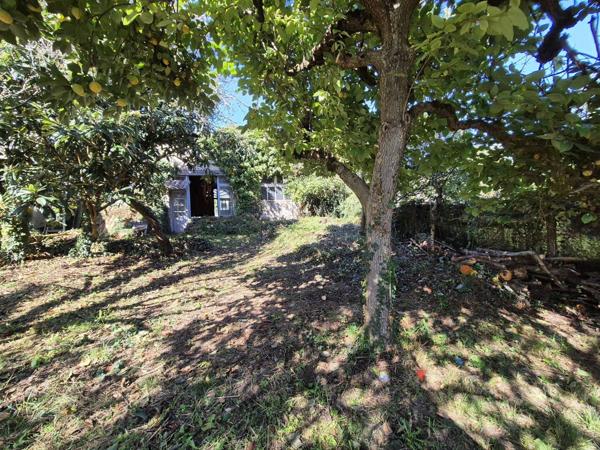 Bâtiment d'environ 215 m² avec jardin en zone urbaine -Parcelle 497 m²