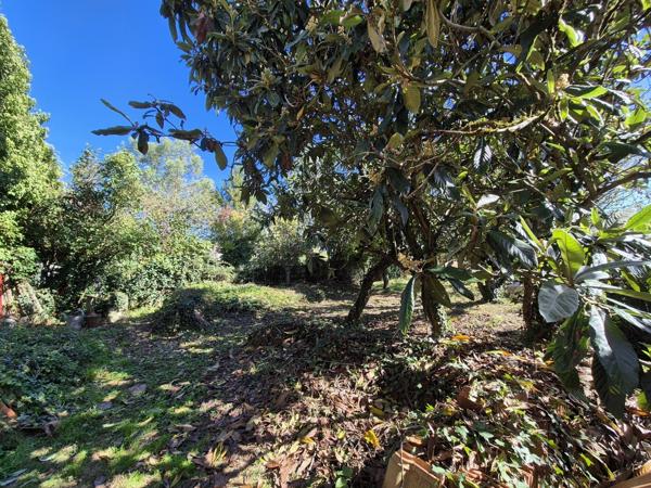 Bâtiment d'environ 215 m² avec jardin en zone urbaine -Parcelle 497 m²